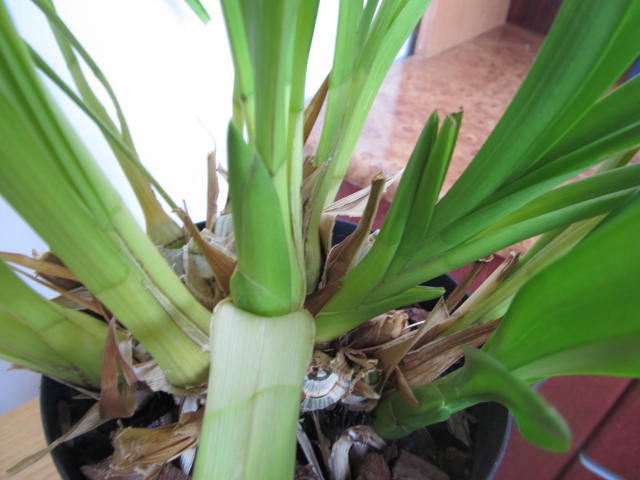 IMG_5745.JPG
