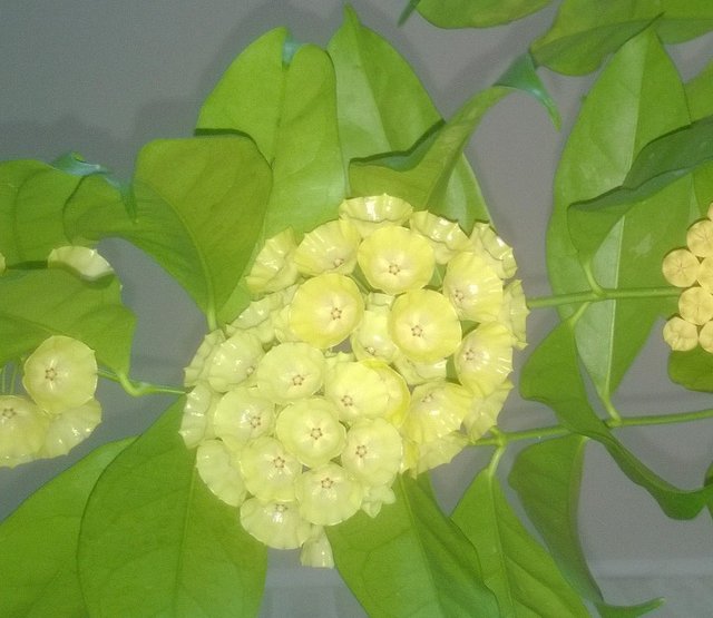 WP_20160617_004-001.jpg