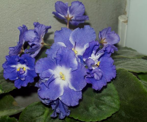 100_1810.JPG