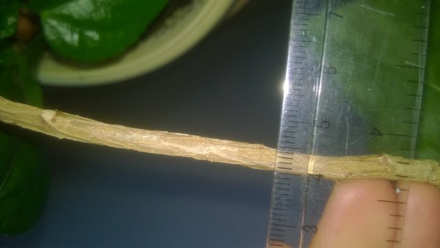WP_20160810_009.jpg