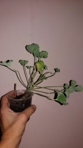 ольга (2).jpg