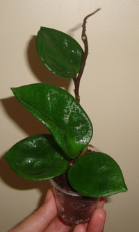 022_cr.jpg