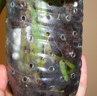 065_cr.jpg