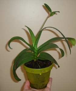 060_cr.jpg