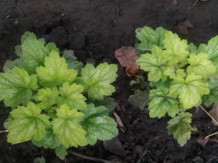2016-08-25 11.58.05.jpg