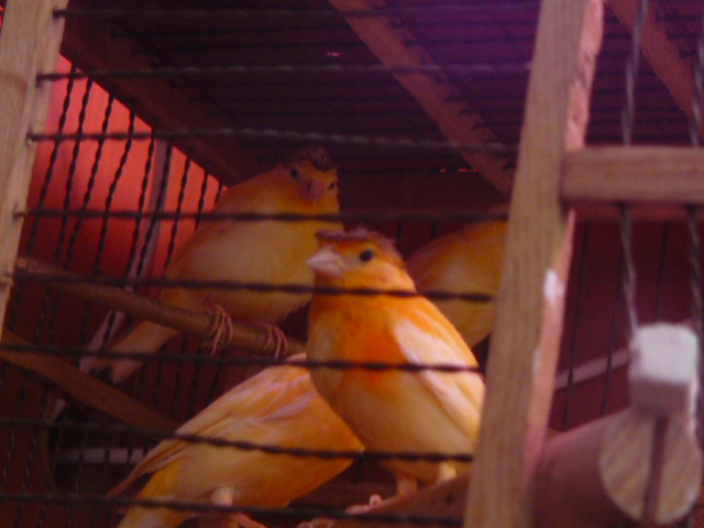 P1110079.JPG