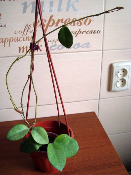 DSC02612.JPG
