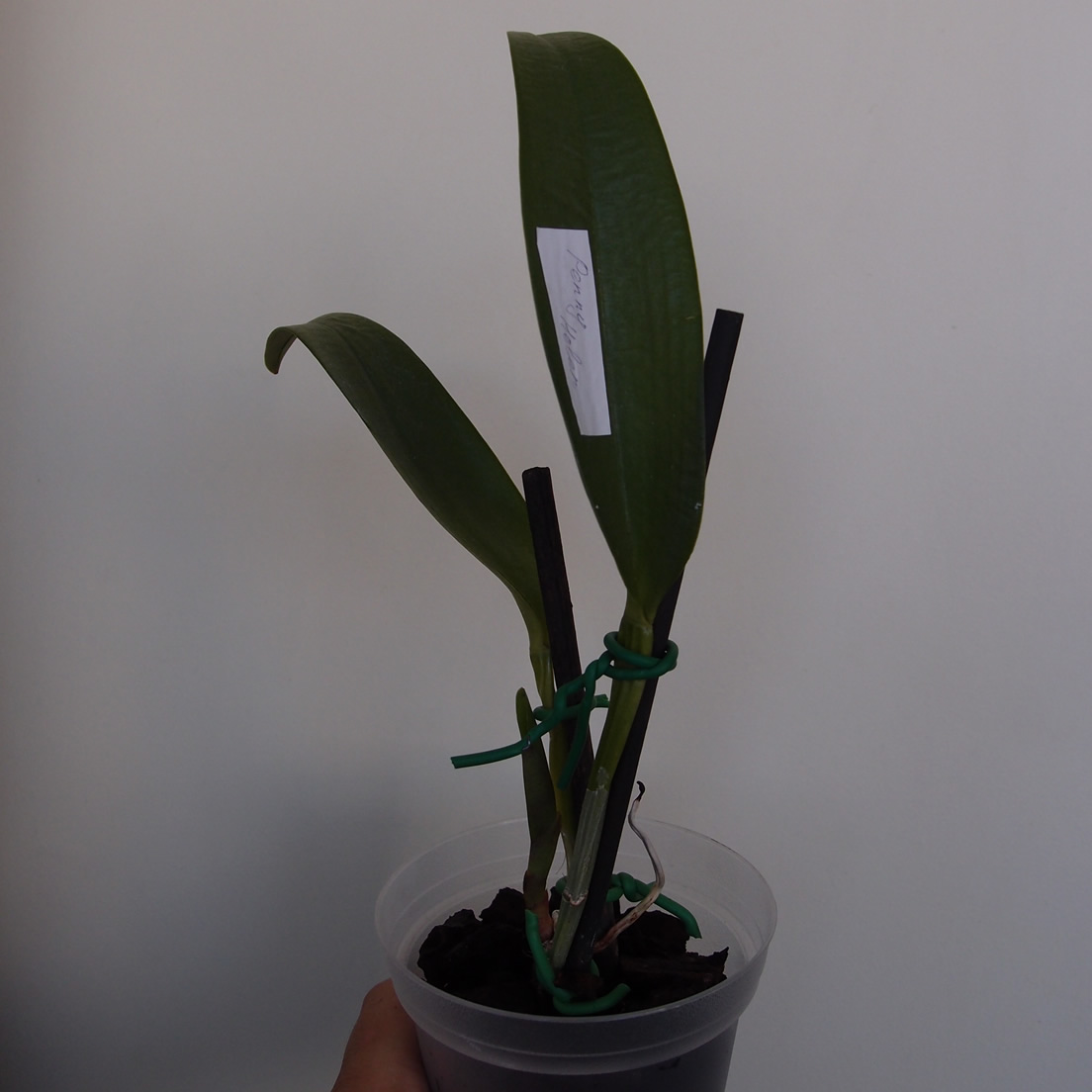 P9074166.jpg