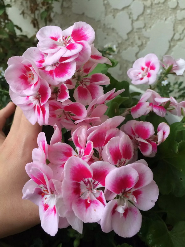 image (9).jpg