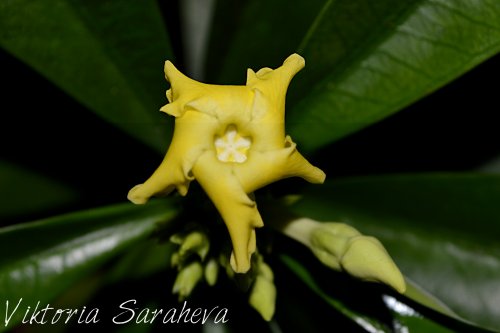 DSC_0310_500x333.jpg