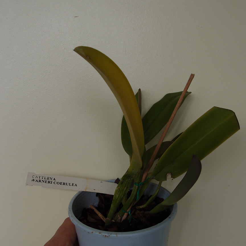 P9224199q.jpg