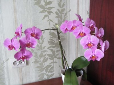 IMG_4744.jpg