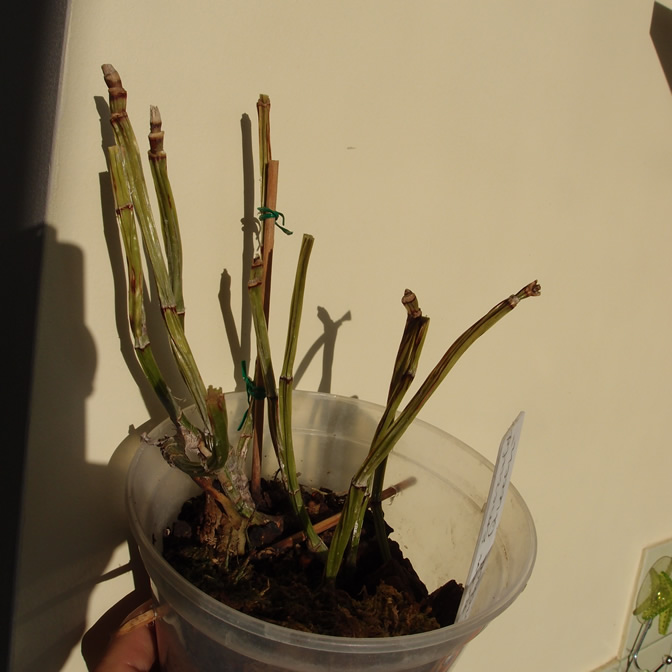 P9274224q.jpg
