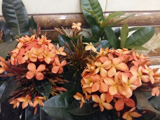 2016-09-28 21.52.57.jpg