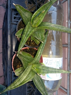 2016-09-30 09.34.22.jpg