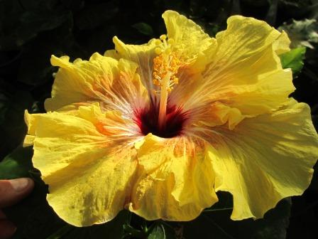 IMG_1268.JPG