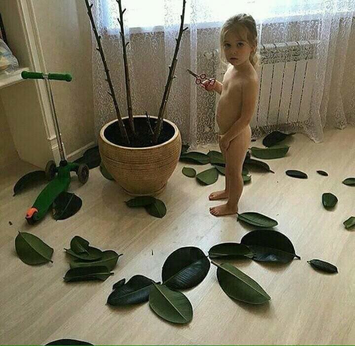 Осень наступила...листики опали....jpg
