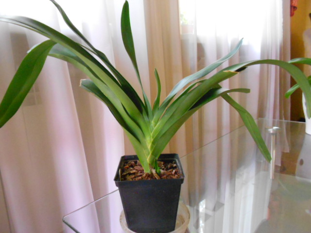 DSCN6027.JPG