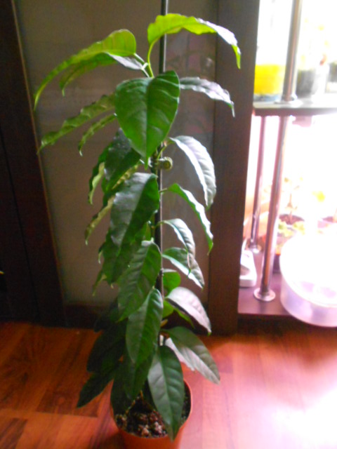 DSCN5875.JPG