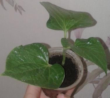 20161111_105646.jpg