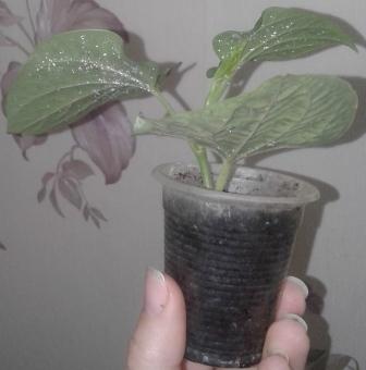 20161111_105638.jpg