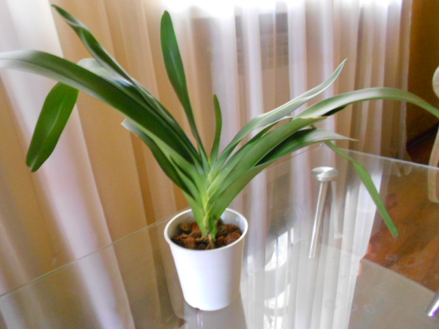 DSCN6109.JPG