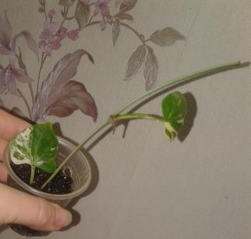20161124_140745.jpg