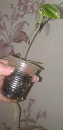 20161124_140749.jpg