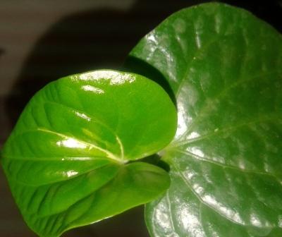 20161124_140854.jpg