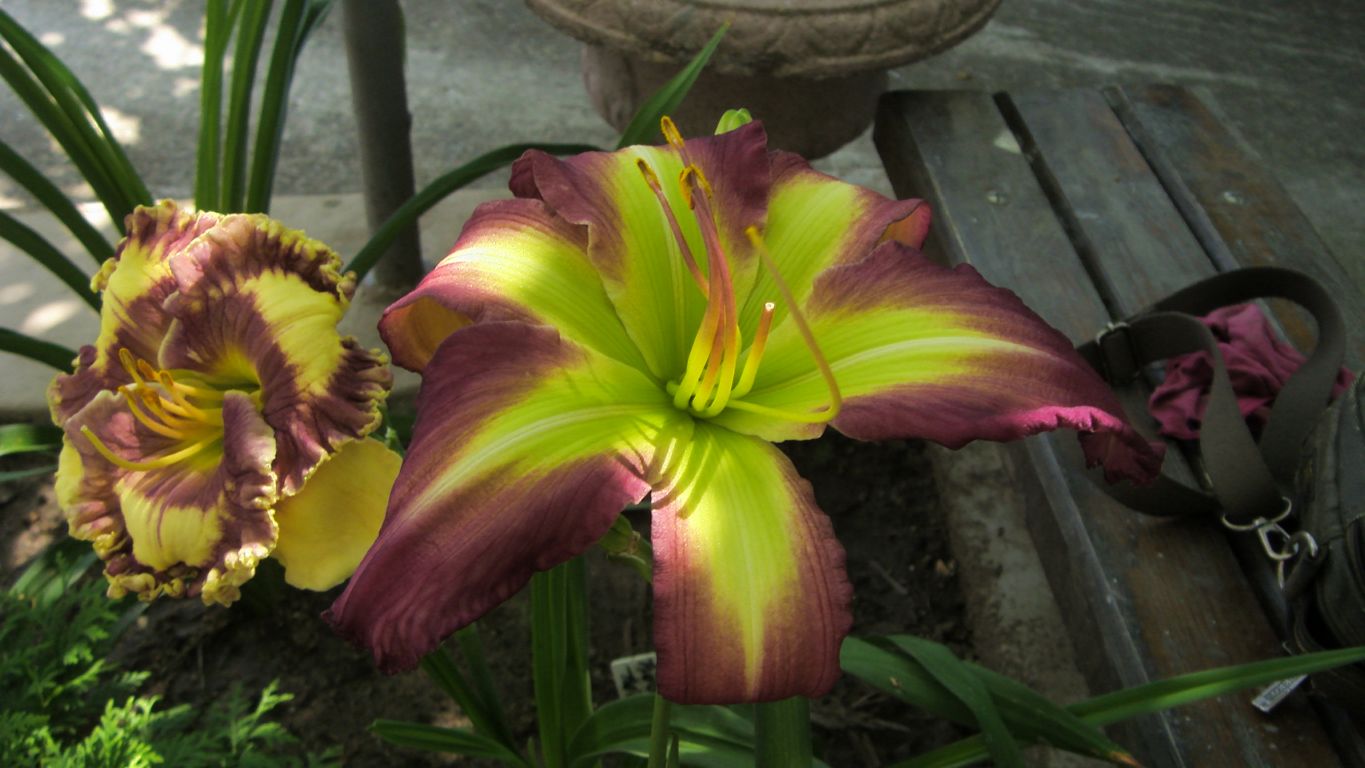 S73F6841.JPG