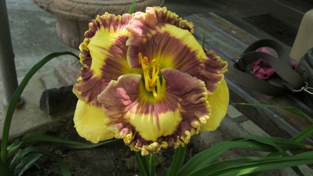 S73F6833.JPG