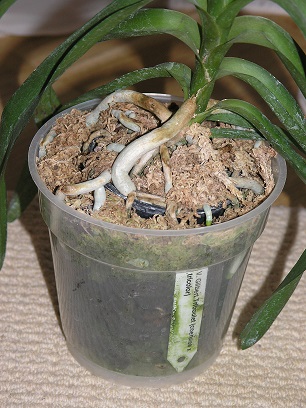 PC265810.JPG