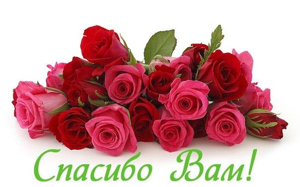 2971-otkritki-Otkritka-kartinka-spasibo-blagodarnost-rozi.jpg
