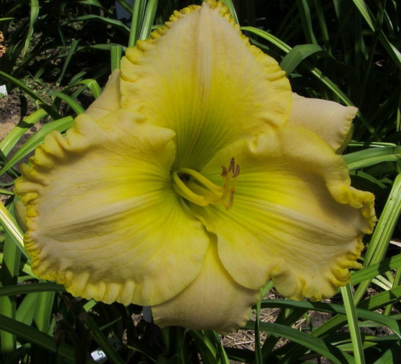 S73F8091.JPG