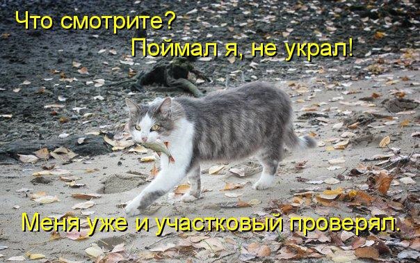 участковый.jpg