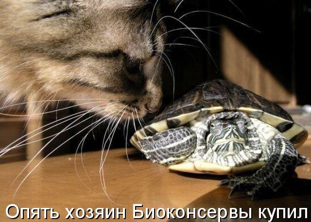 биоконсервы.jpg