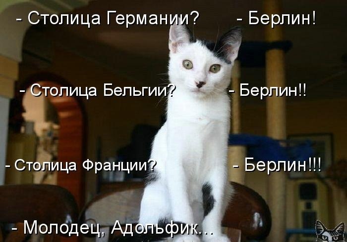 адольфик.jpg