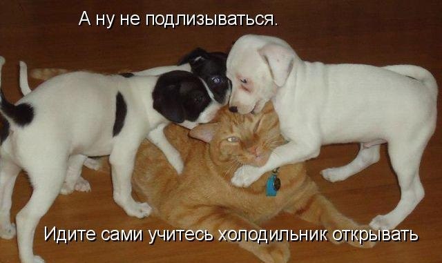 холодильнк.jpg