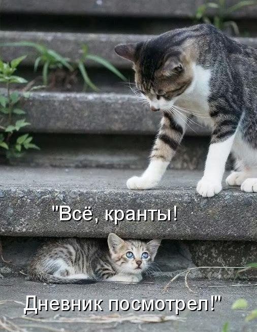 кранты.jpg