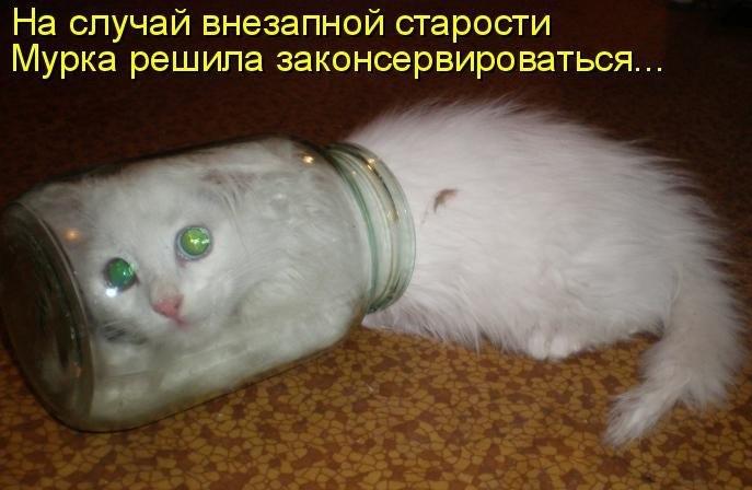 решила законсервироваться.jpg