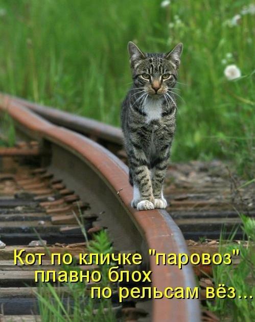 паровоз.jpg