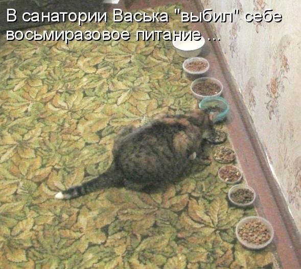 питание.jpg