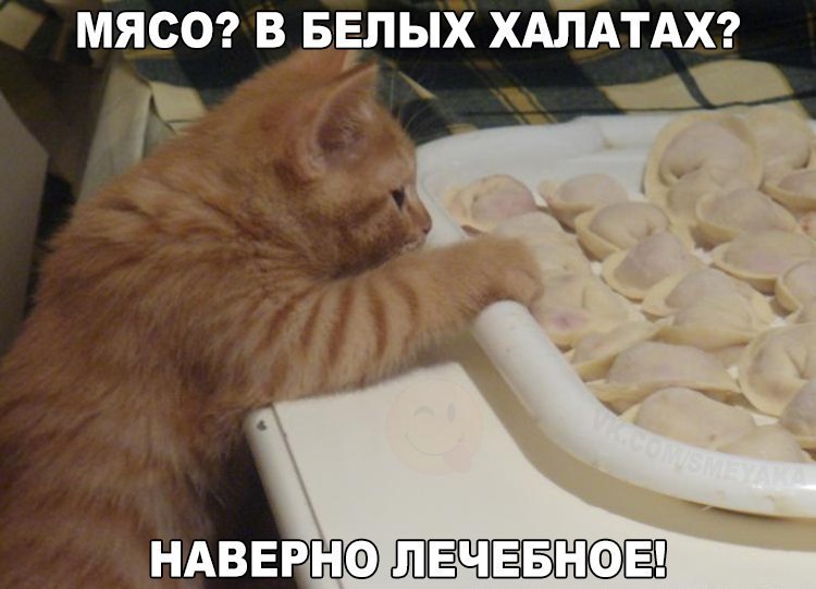 мясо лечебное.jpg