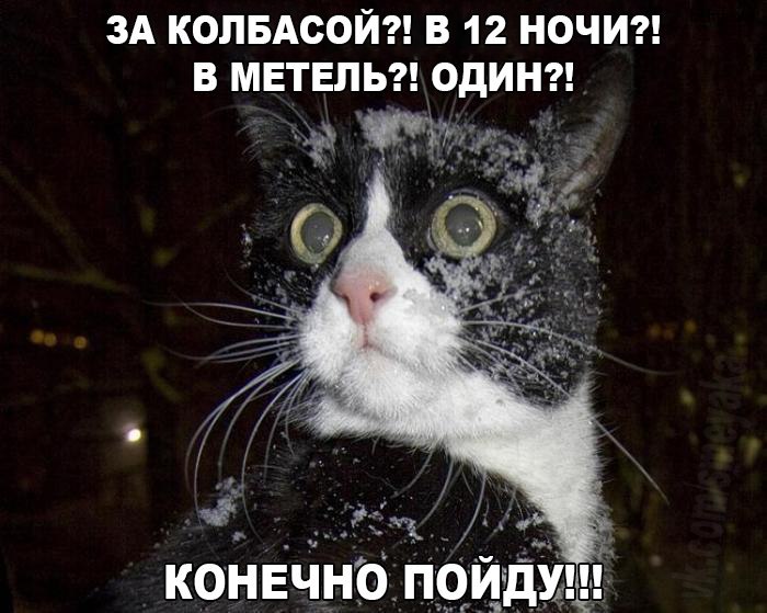 за колбасой в метель.jpg