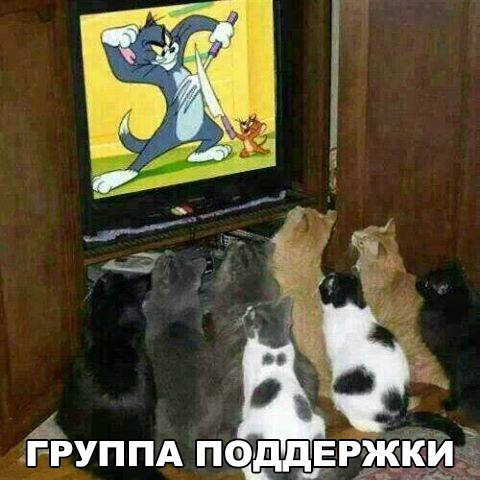 группа поддержки.jpg