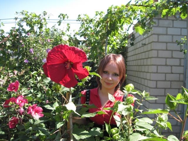 Диаметр цветка 25 см.jpg