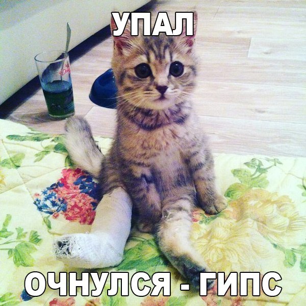 упал.jpg