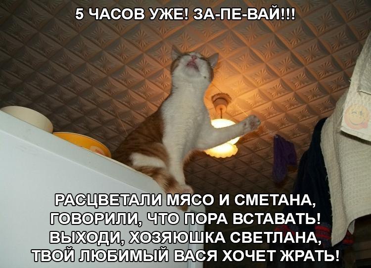 жрать.jpg