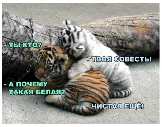 совесть.jpg