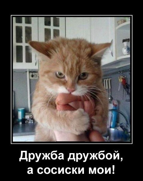 дружба дружбой.jpg